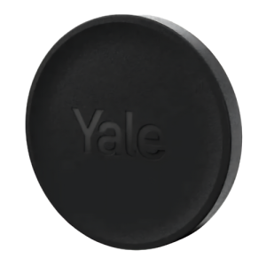 YALE-DOT-B.png